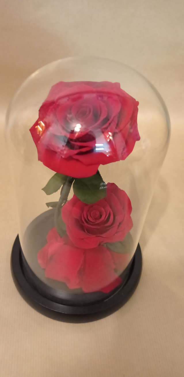 Art floral Saint‑Paul