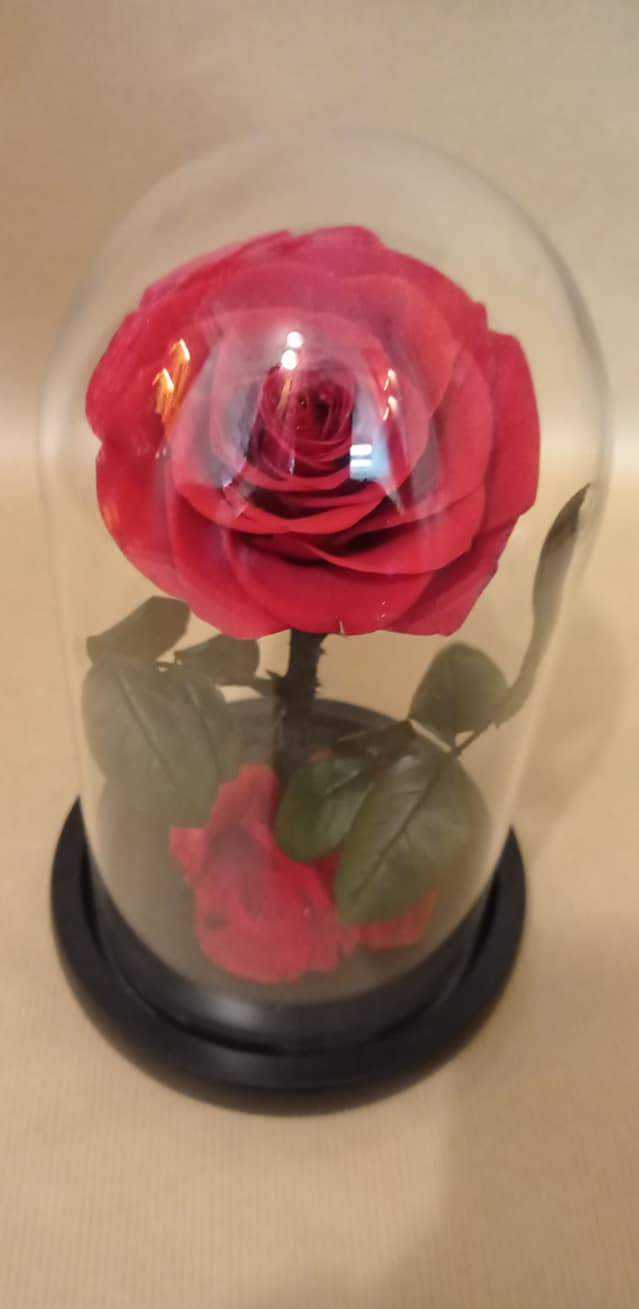 Décorateur floral Saint‑Paul