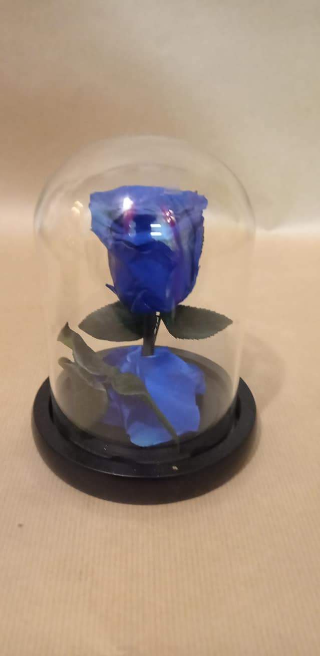 Galerie florale Saint‑Paul