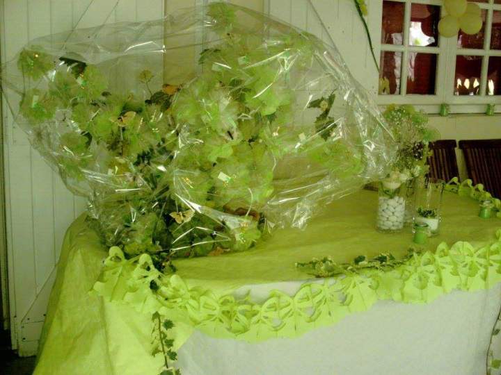 choppe de fleurs Saint‑Paul